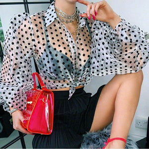 Lady Embroidery Lantern Sheer Mesh Sleeve Blouse shirts Women Autumn Polka Dot Print Blusa pullovers Elegant see through  tops